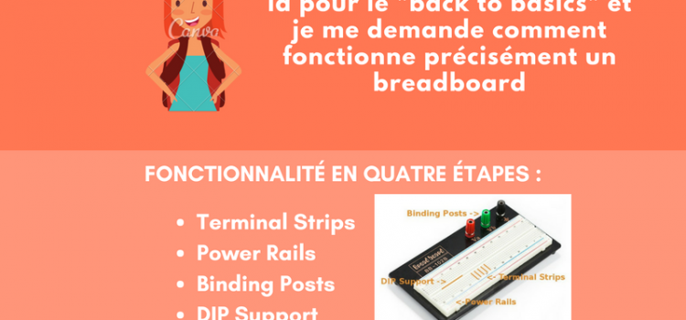 Réalisations des étudiant·e·s | L3 S5 – Projet « Back to basics » Réalisations des étudiant·e·s | L3 S5 – Projet « Back to basics »