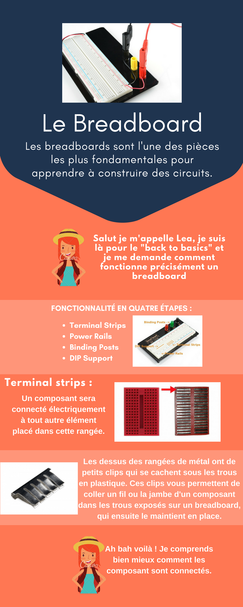 Réalisations des étudiant·e·s | L3 S5 – Projet « Back to basics »