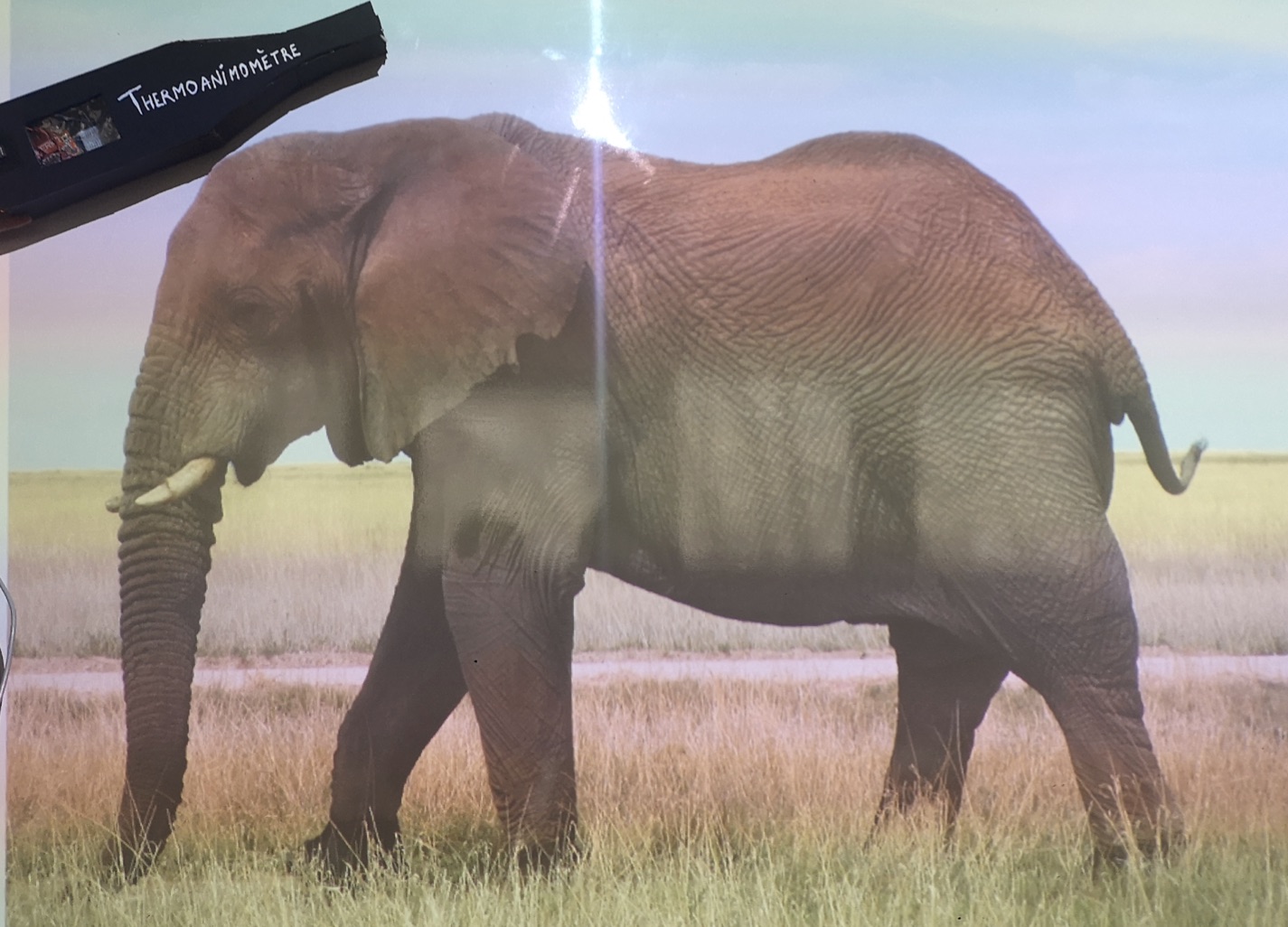 ThermoAnimomètre